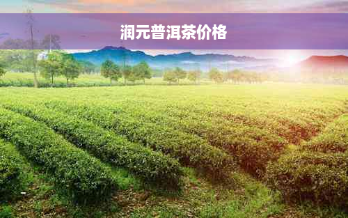 润元普洱茶价格