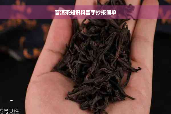 普洱茶知识科普手抄报简单