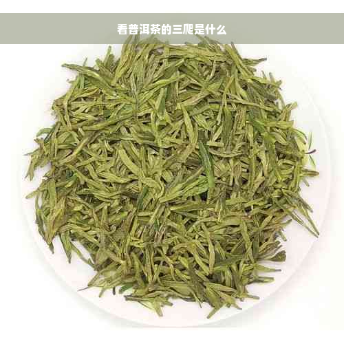 看普洱茶的三爬是什么