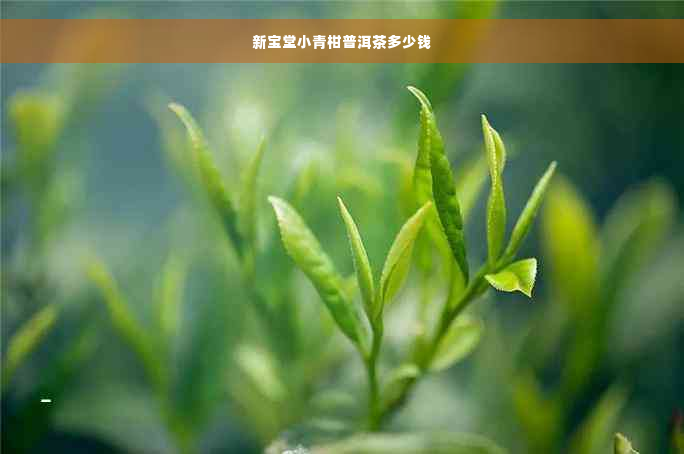 新宝堂小青柑普洱茶多少钱