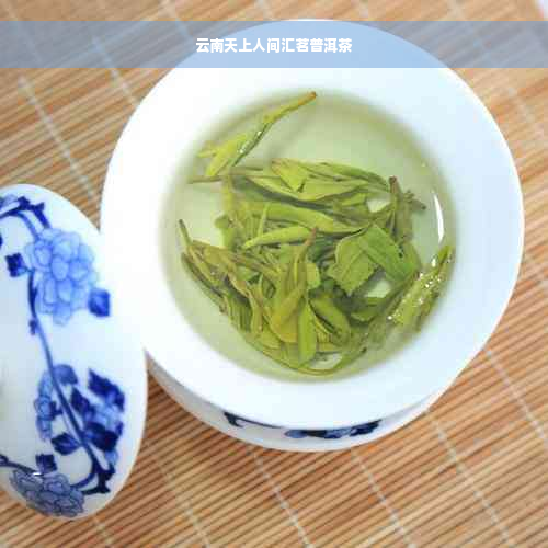 云南天上人间汇茗普洱茶