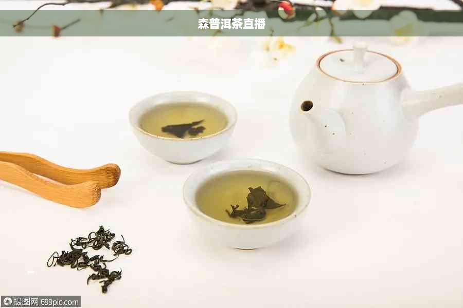 森普洱茶直播