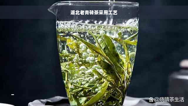 湖北老青砖茶采用工艺