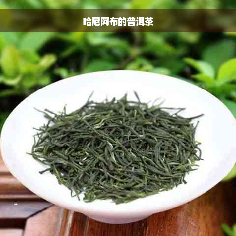 哈尼阿布的普洱茶