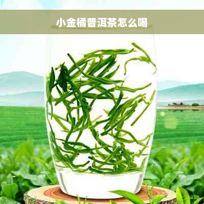 小金橘普洱茶怎么喝