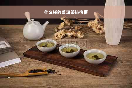 什么样的普洱茶排宿便