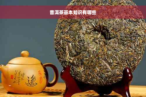 普洱茶基本知识有哪些