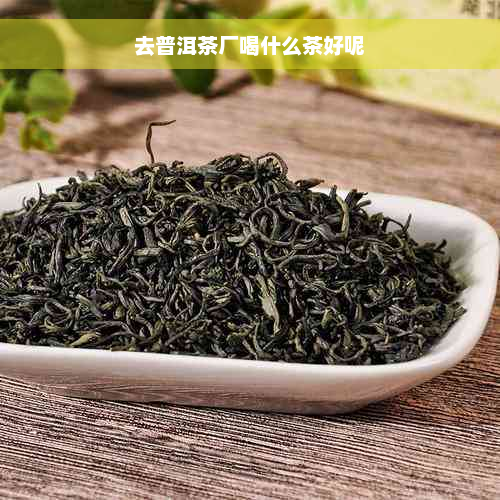 去普洱茶厂喝什么茶好呢