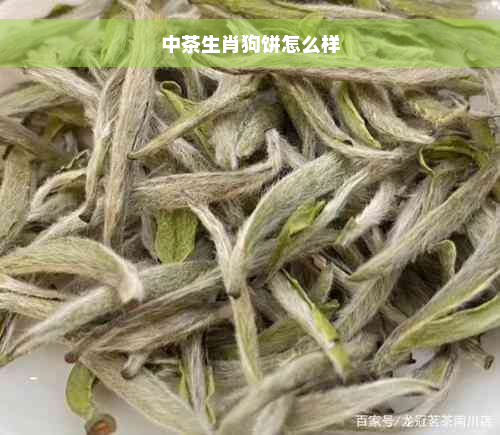 中茶生肖狗饼怎么样