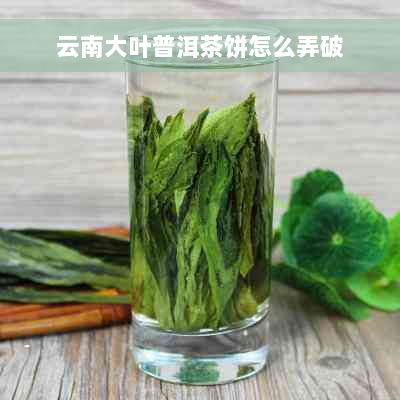 云南大叶普洱茶饼怎么弄破