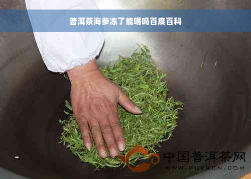 普洱茶海参冻了能喝吗百度百科