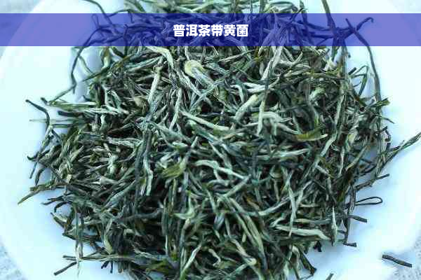 普洱茶带黄菌