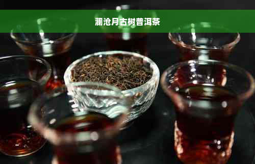 澜沧月古树普洱茶