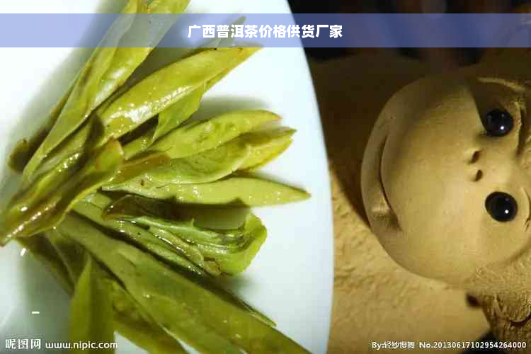 广西普洱茶价格供货厂家