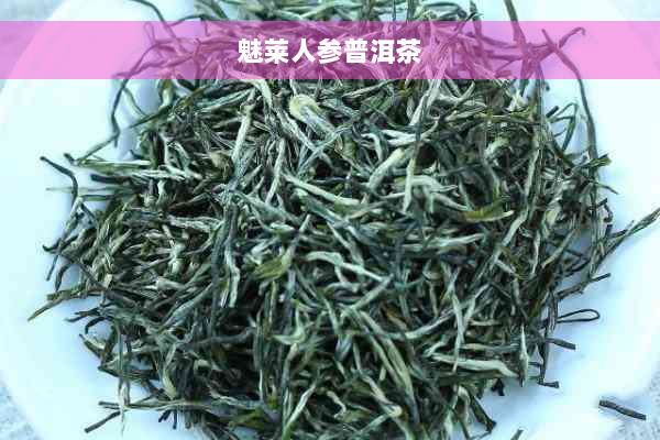 魅莱人参普洱茶