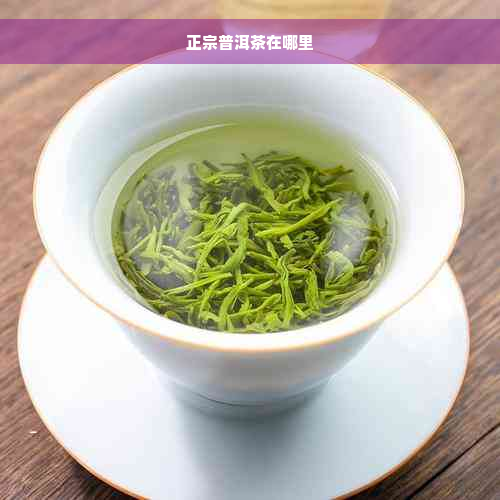 正宗普洱茶在哪里