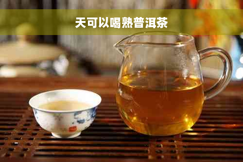 天可以喝熟普洱茶