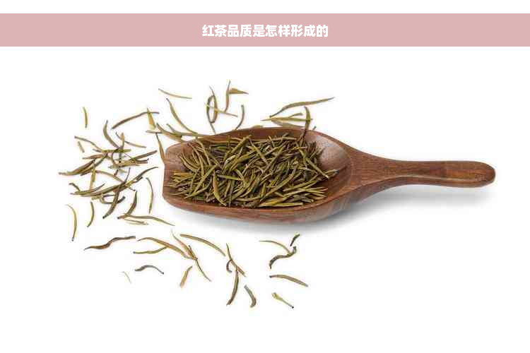 红茶品质是怎样形成的