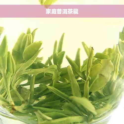 家庭普洱茶藏