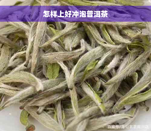 怎样上好冲泡普洱茶