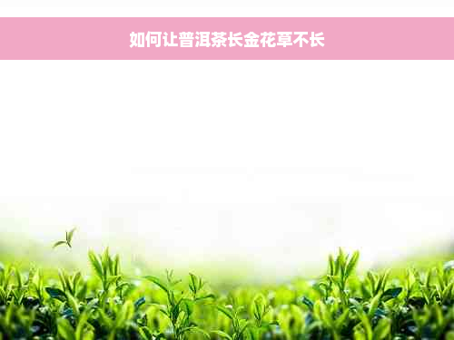 如何让普洱茶长金花草不长