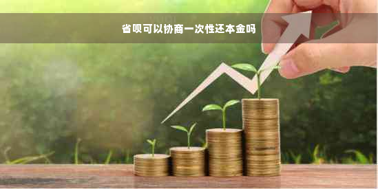 省呗可以协商一次性还本金吗