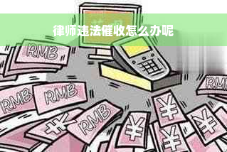 律师违法催收怎么办呢