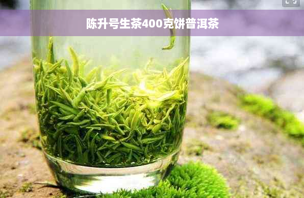 陈升号生茶400克饼普洱茶