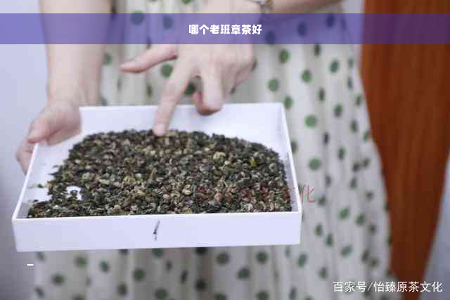 哪个老班章茶好