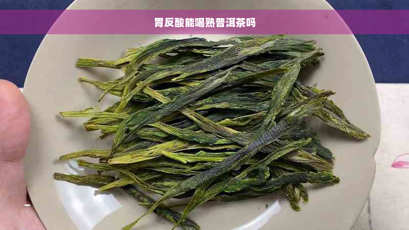 胃反酸能喝熟普洱茶吗