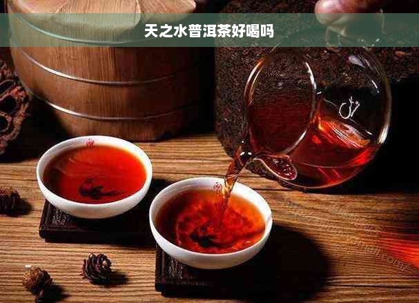 天之水普洱茶好喝吗