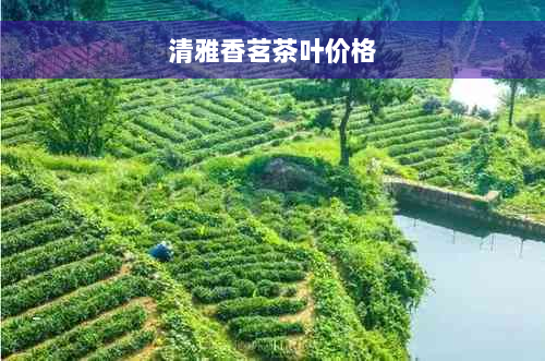 清雅香茗茶叶价格