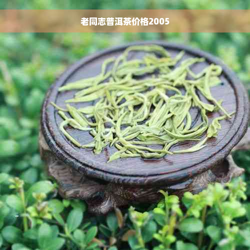 老同志普洱茶价格2005