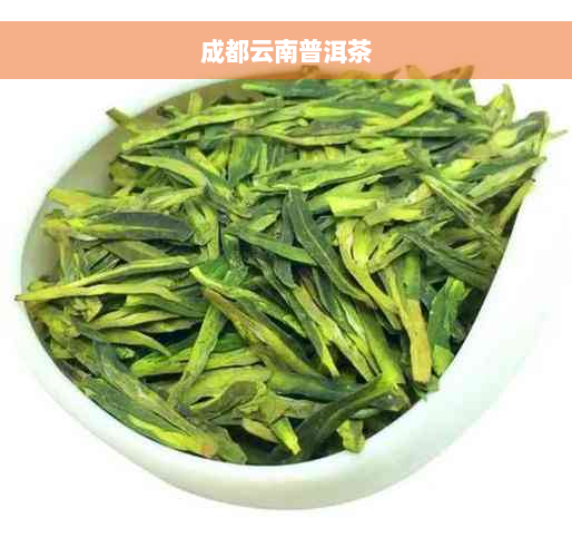 成都云南普洱茶