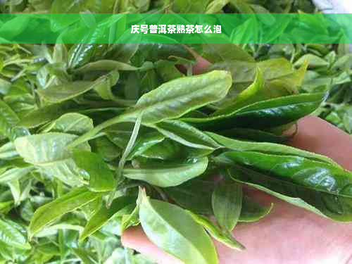 庆号普洱茶熟茶怎么泡