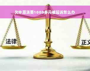 欠中原消费1000多元被起诉怎么办