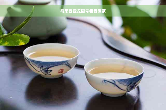 马来西亚龙园号老普洱茶