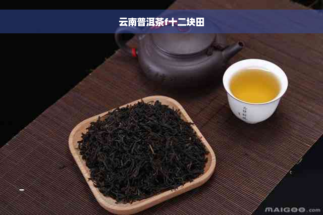 云南普洱茶f十二块田