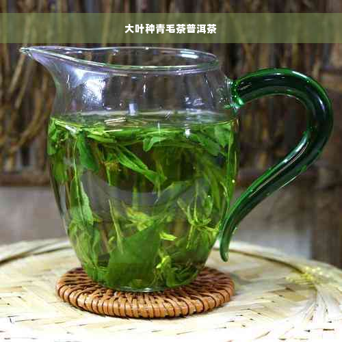 大叶种青毛茶普洱茶