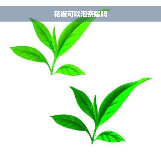 花椒可以泡茶喝吗