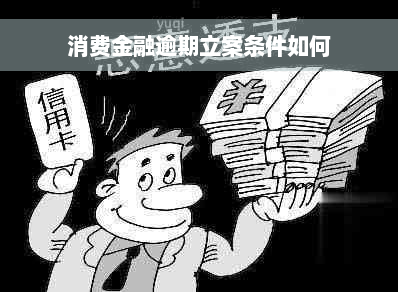 消费金融逾期立案条件如何