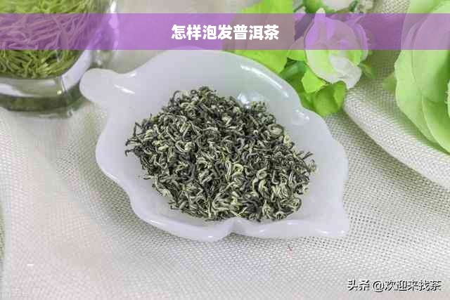 怎样泡发普洱茶