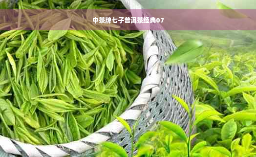 中茶牌七子普洱茶经典07