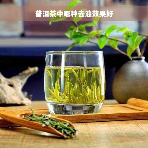 普洱茶中哪种去油效果好