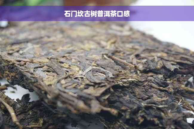 石门坎古树普洱茶口感