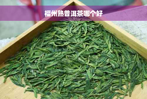 福州熟普洱茶哪个好