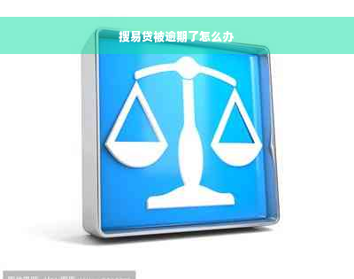 搜易贷被逾期了怎么办