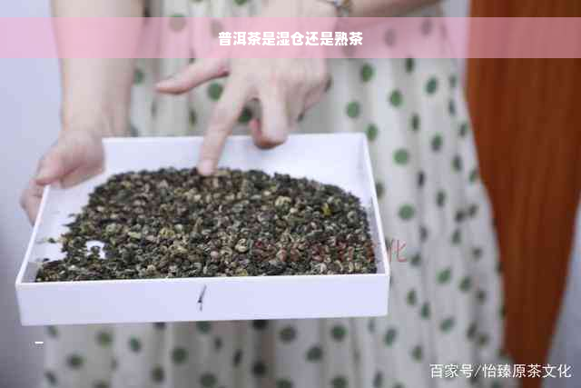 普洱茶是湿仓还是熟茶