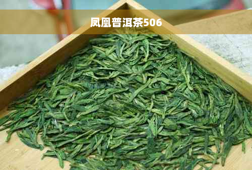 凤凰普洱茶506