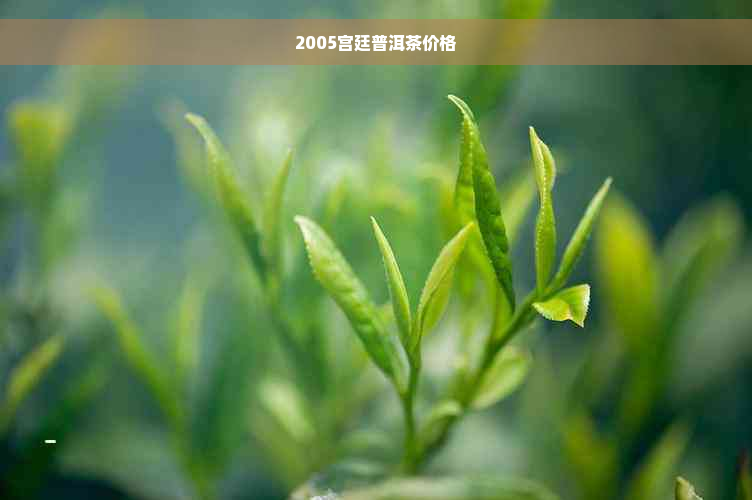 2005宫廷普洱茶价格